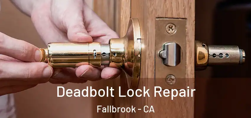 Deadbolt Lock Repair Fallbrook - CA
