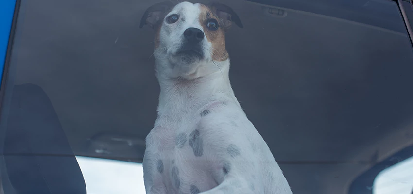 Car Lockout Solutions in Fallbrook, California