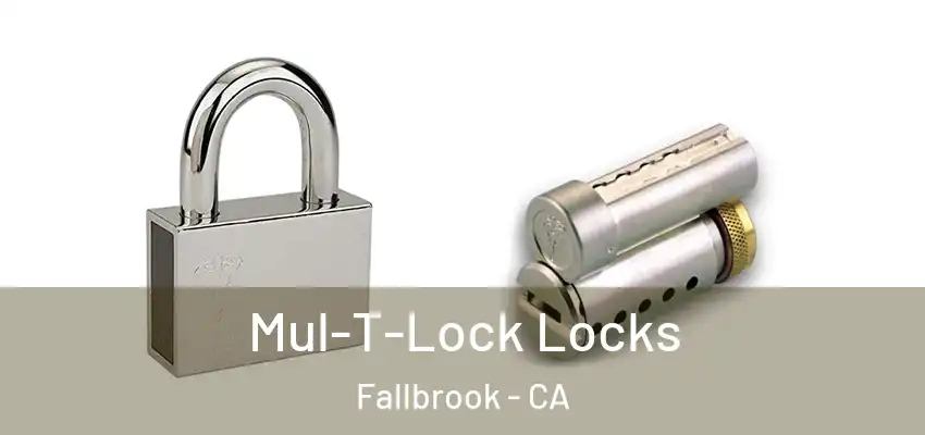  Mul-T-Lock Locks Fallbrook - CA