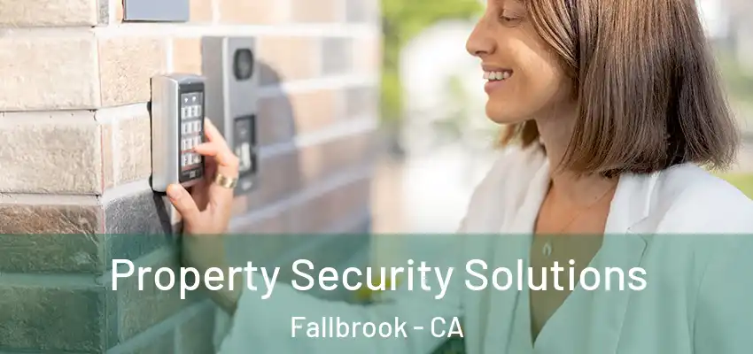  Property Security Solutions Fallbrook - CA